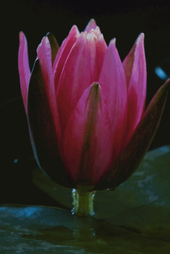 Mini-vertical_3