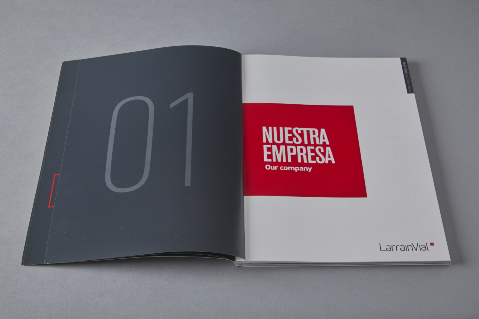 Selecta-Productos195-12133