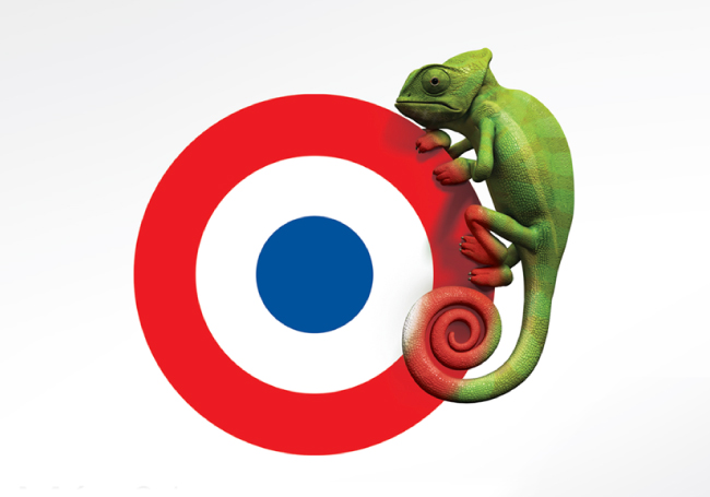 iguana