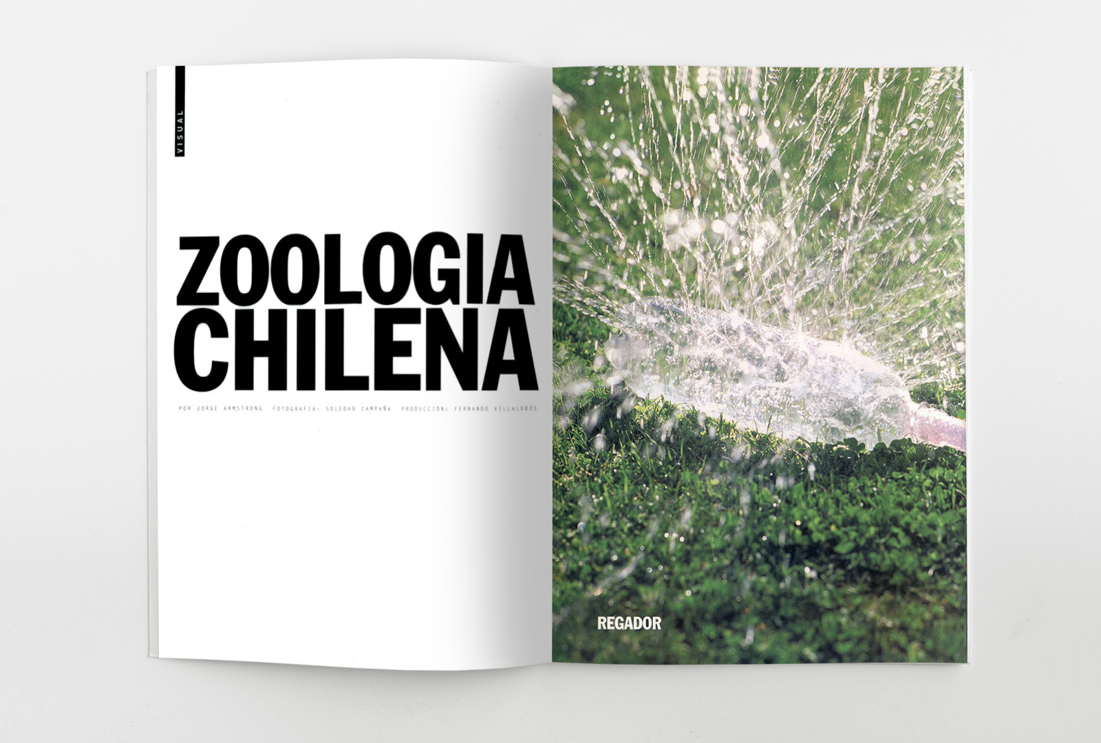 zoologia1-14050