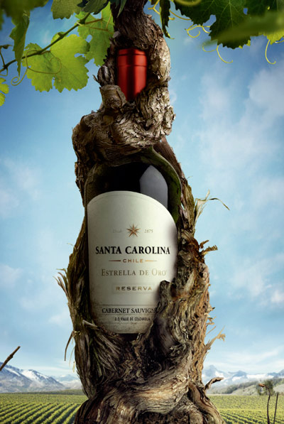 Santa Carolina / Strong